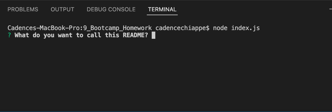 Screenshot of Terminal.